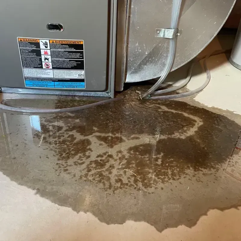 Appliance Leak Cleanup in Point Roberts, WA